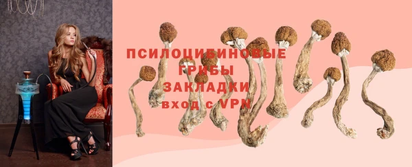mdpv Магас