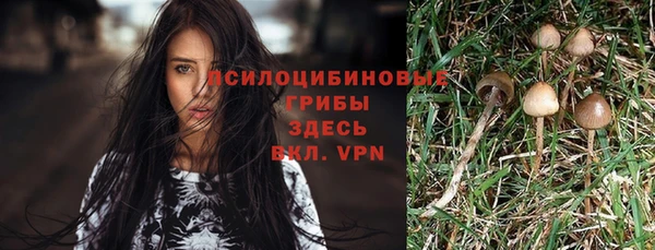 герыч Липки