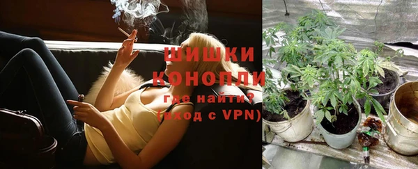 дурь Майский